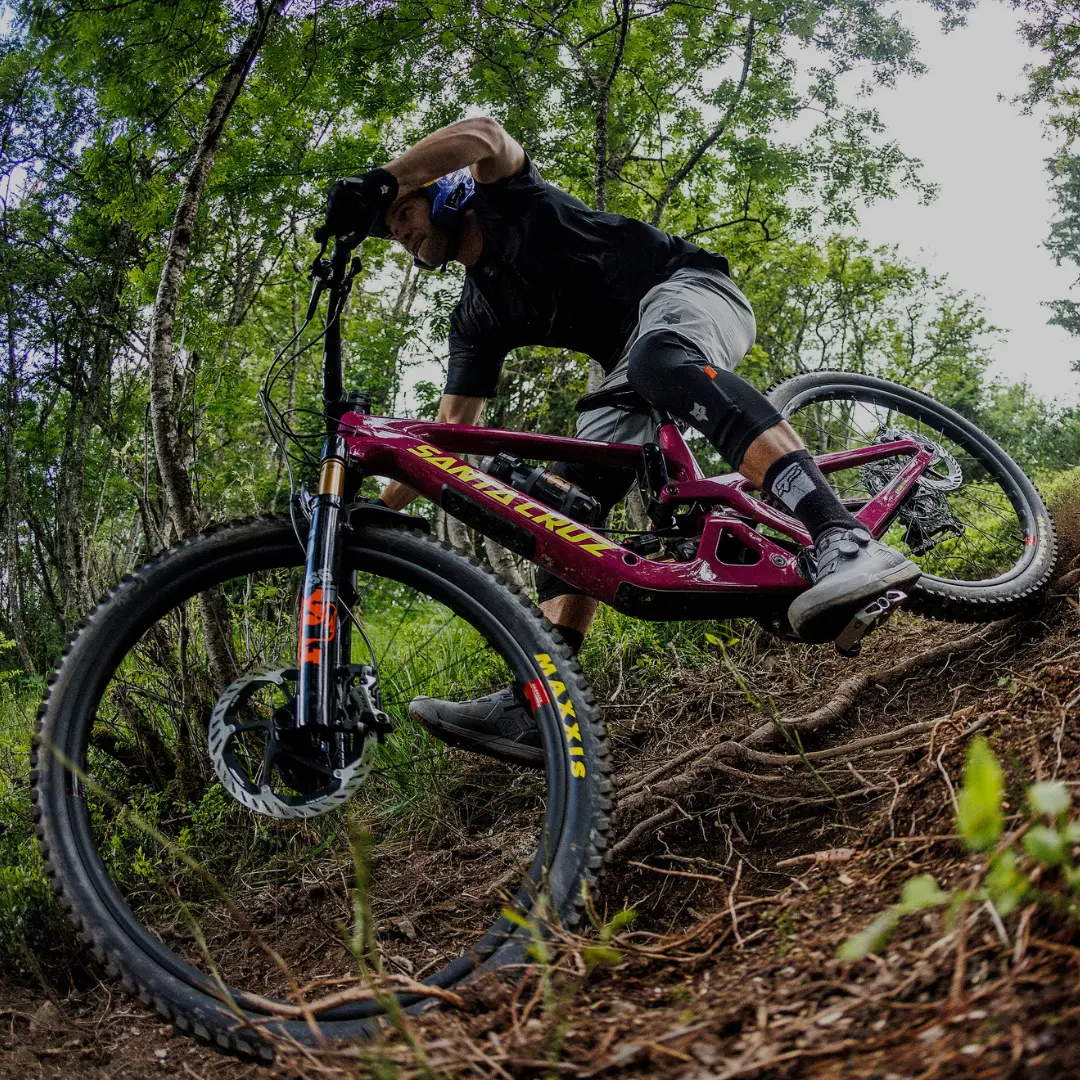 Santa Cruz Fully´s